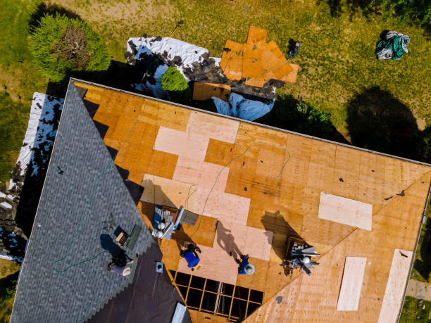 Best Metal Roofing Contractor  in Badieville, LA